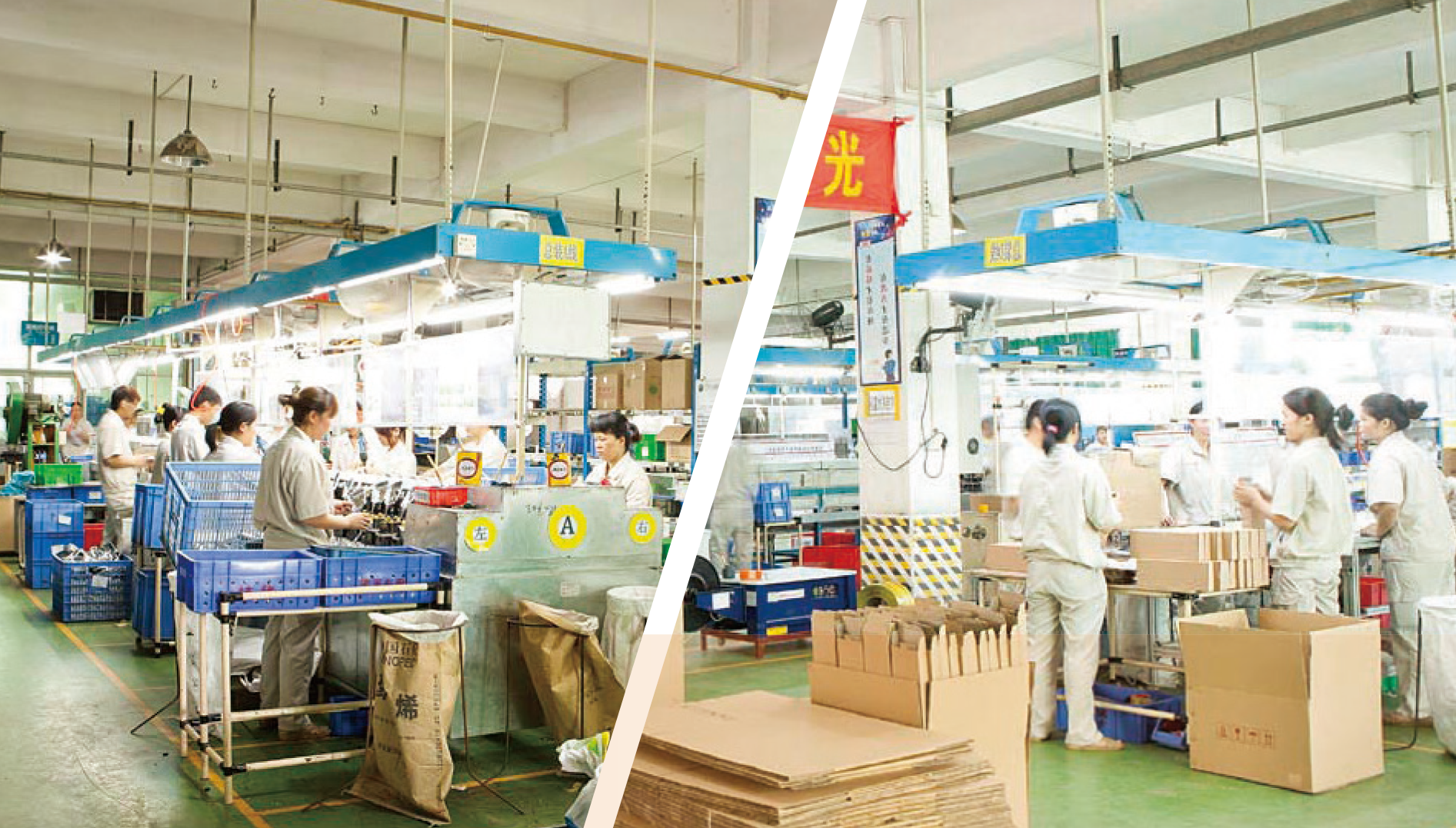 枝华产品